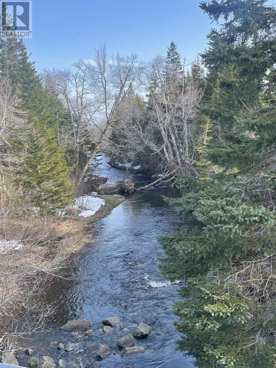 209 Intervale Road, Huntington, Nova Scotia  B1K 1T6 - Photo 40 - 202527071