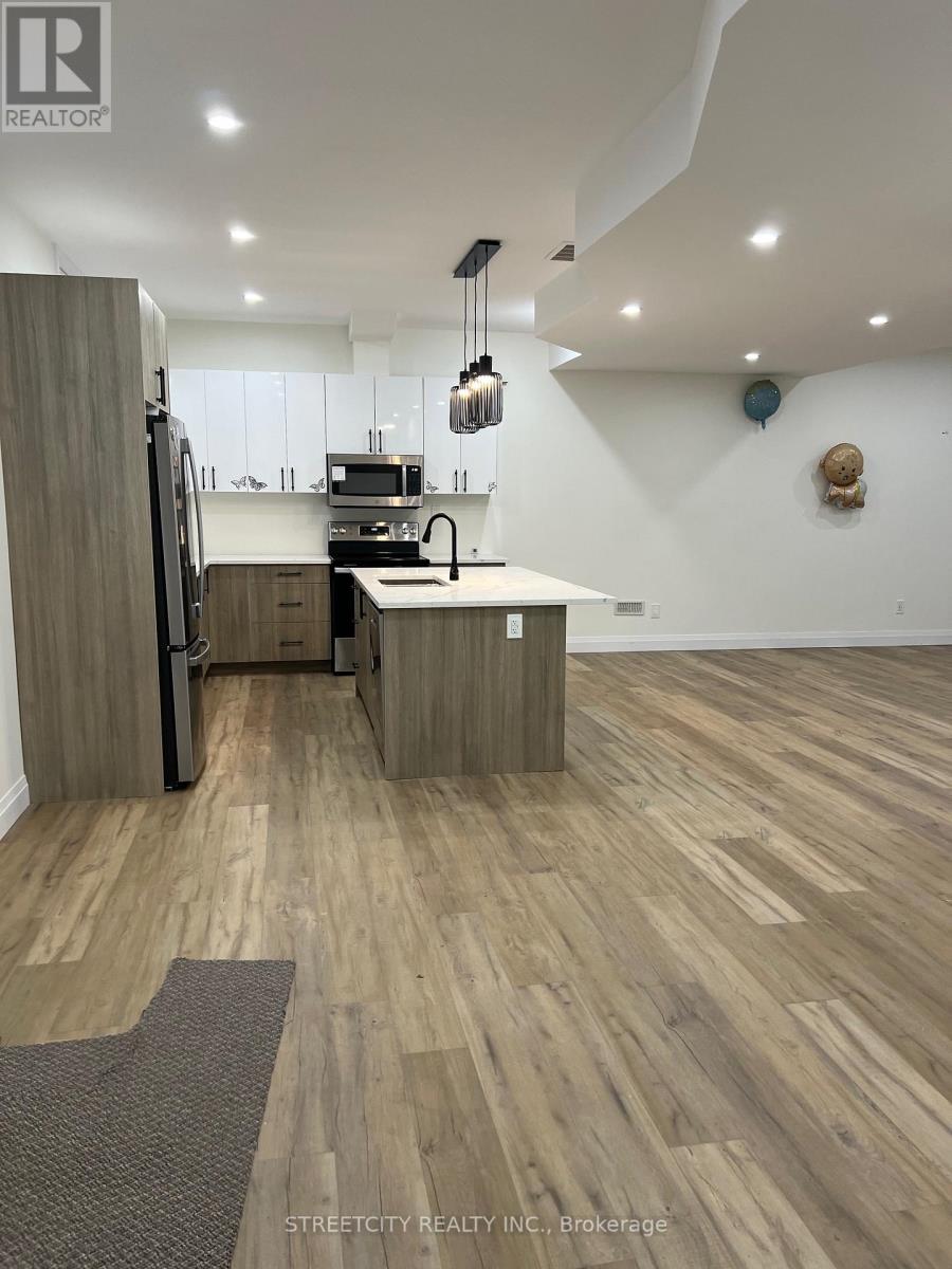 Basement - 1304 Bush Hill Link Line, London North (North S), Ontario  N6G 0X6 - Photo 5 - X12501792