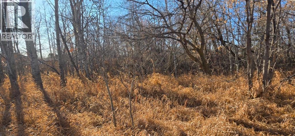 4832 46 Street, Mirror, Alberta  T0B 3C0 - Photo 3 - A2268441