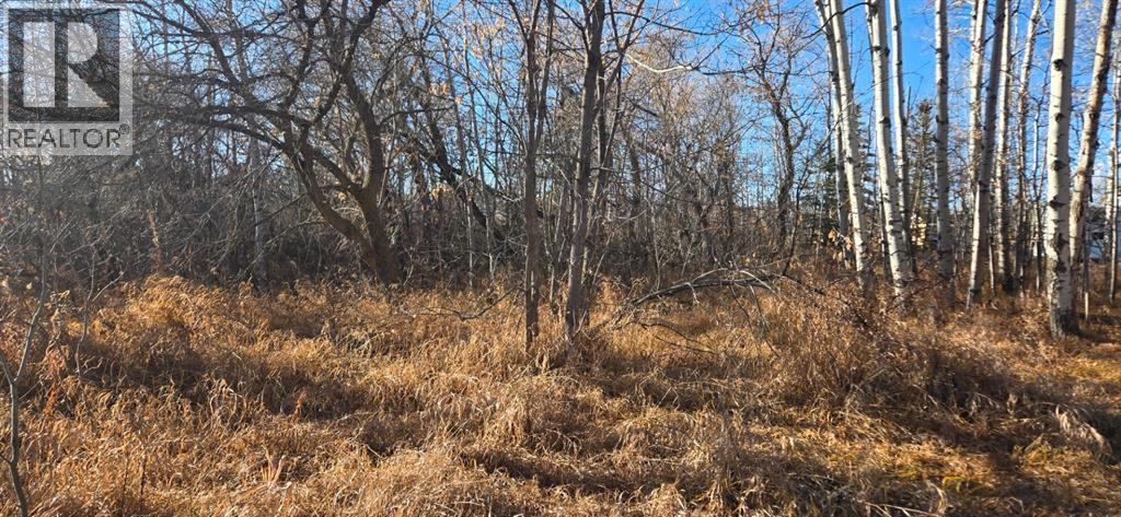 4832 46 Street, Mirror, Alberta  T0B 3C0 - Photo 4 - A2268441