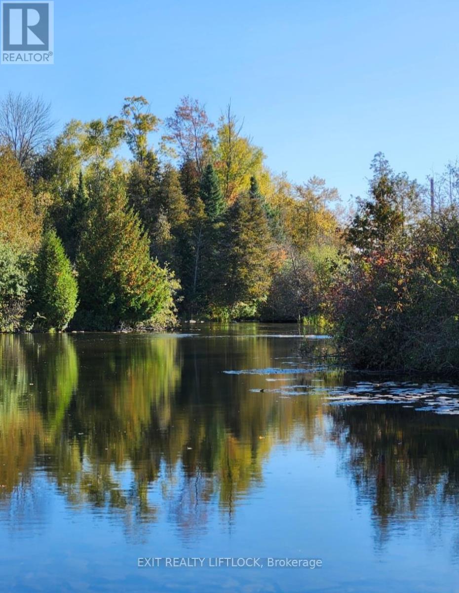 544 County Road 8, Douro-Dummer, Ontario  K0L 2H0 - Photo 41 - X12476524