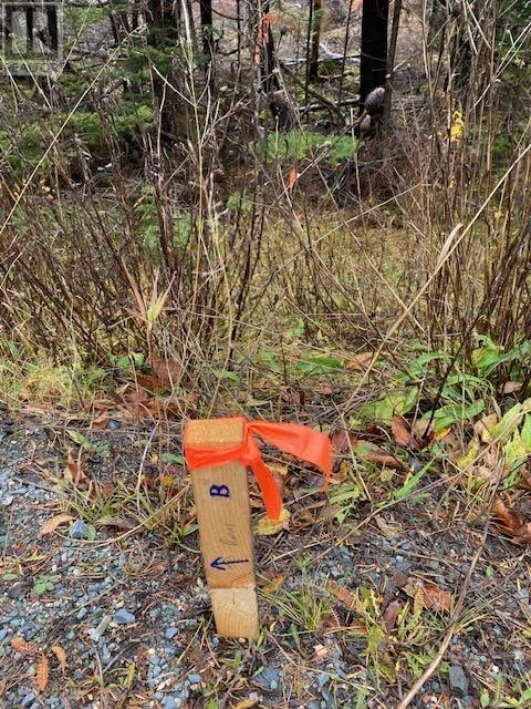 104-108 Highway East, Victoria, Newfoundland & Labrador  A0A 4G0 - Photo 5 - 1292213