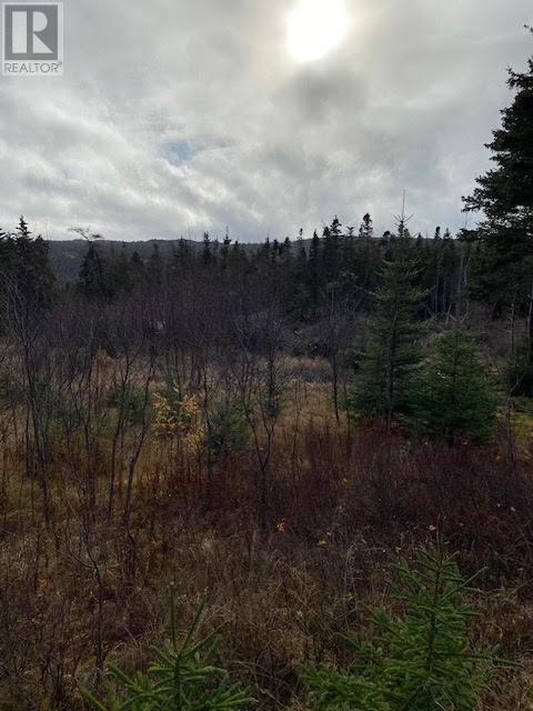 104-108 Highway East, Victoria, Newfoundland & Labrador  A0A 4G0 - Photo 6 - 1292213