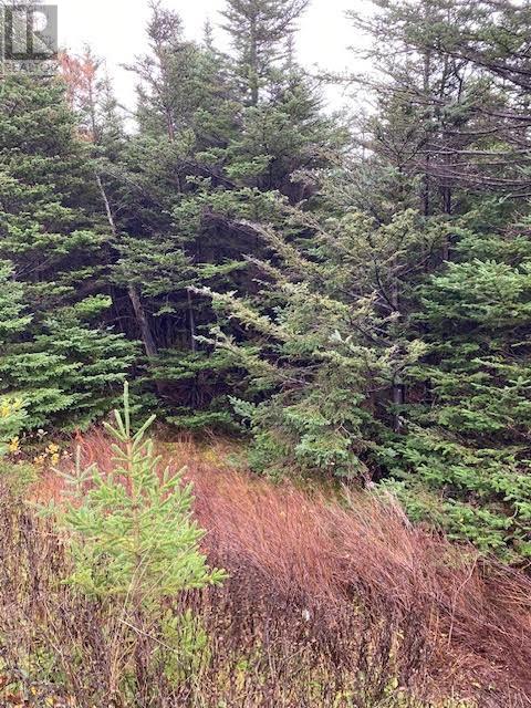 94-96 Highway East, Victoria, Newfoundland & Labrador