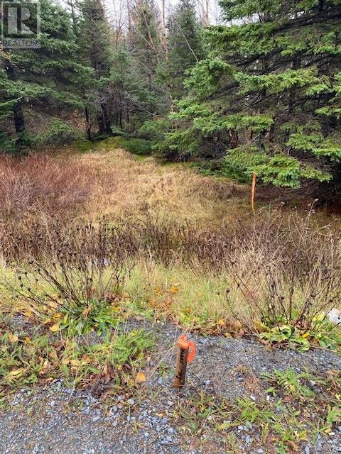 94-96 Highway East, Victoria, Newfoundland & Labrador  A0A 4G0 - Photo 2 - 1292211