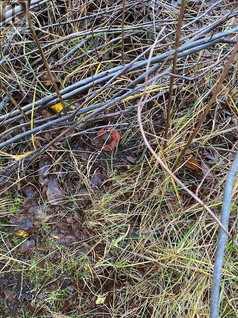 94-96 Highway East, Victoria, Newfoundland & Labrador  A0A 4G0 - Photo 4 - 1292211