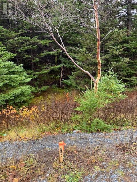 94-96 Highway East, Victoria, Newfoundland & Labrador  A0A 4G0 - Photo 5 - 1292211