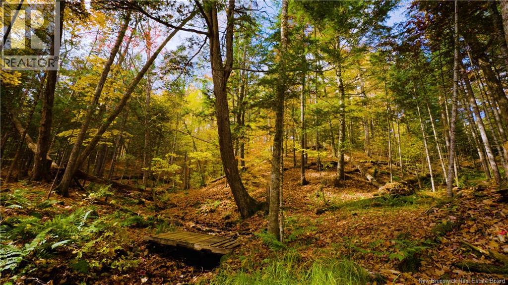 150 Leeland Way, Killarney, New Brunswick  E3A 5M7 - Photo 4 - NB129536