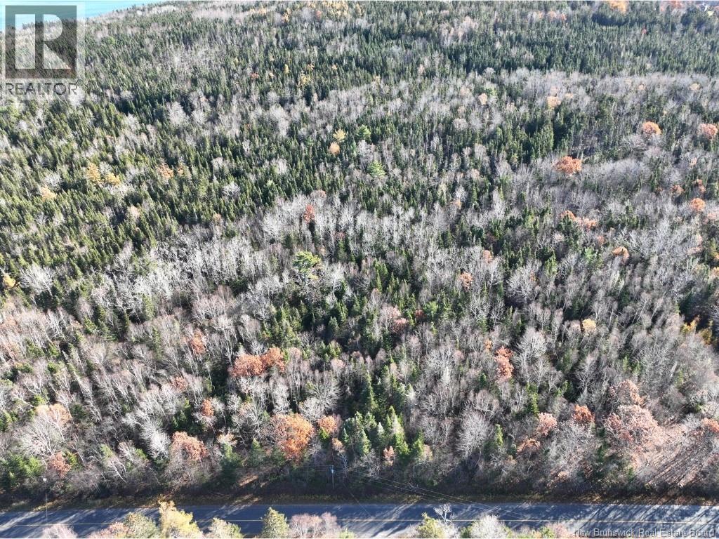 0 Oak Haven Road, Dufferin, New Brunswick  E3L 3S5 - Photo 4 - NB129431