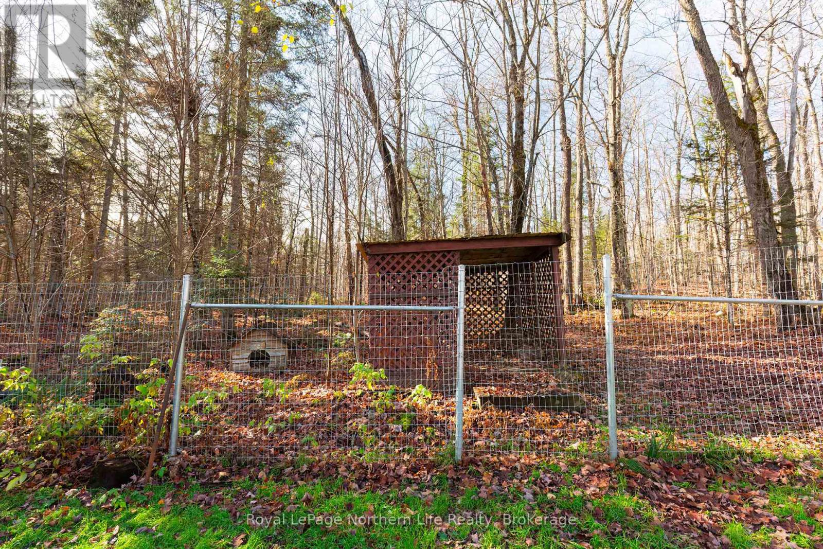 566 Deer Lake Road, Parry Sound Remote Area, Ontario  P0A 1X0 - Photo 38 - X12501898