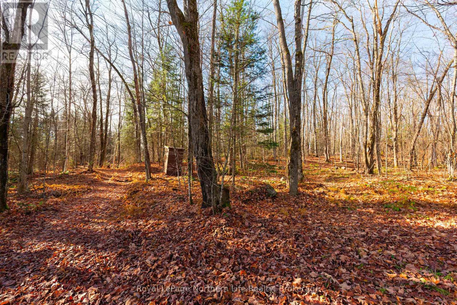 566 Deer Lake Road, Parry Sound Remote Area, Ontario  P0A 1X0 - Photo 39 - X12501898