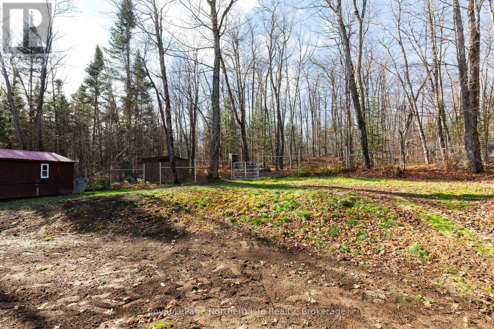 566 Deer Lake Road, Parry Sound Remote Area, Ontario  P0A 1X0 - Photo 44 - X12501898