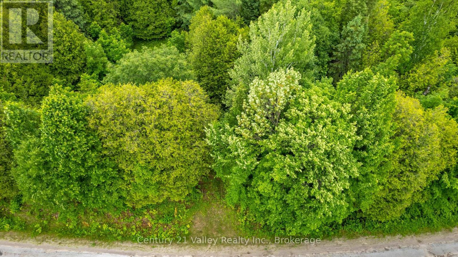 1148 Mt St Patrick Road, Admaston/bromley, Ontario  K7V 3Z7 - Photo 5 - X12501756