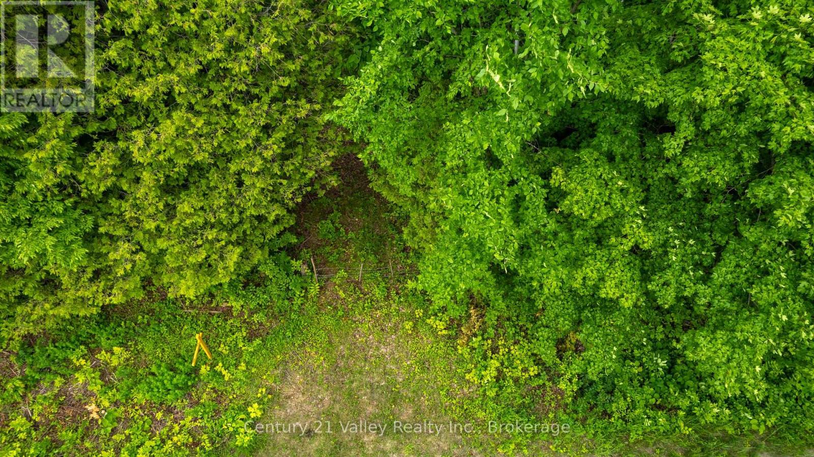 1148 Mt St Patrick Road, Admaston/bromley, Ontario  K7V 3Z7 - Photo 4 - X12501756