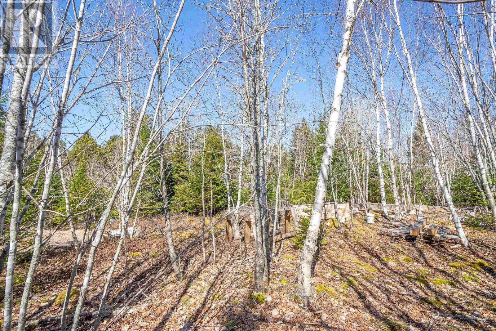 87-1 Falkenham Road, East Dalhousie, Nova Scotia  B0R 1H0 - Photo 26 - 202527085