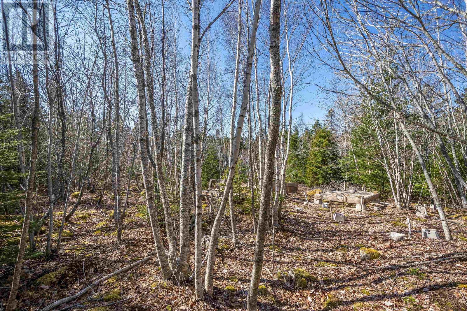 87-1 Falkenham Road, East Dalhousie, Nova Scotia  B0R 1H0 - Photo 30 - 202527085