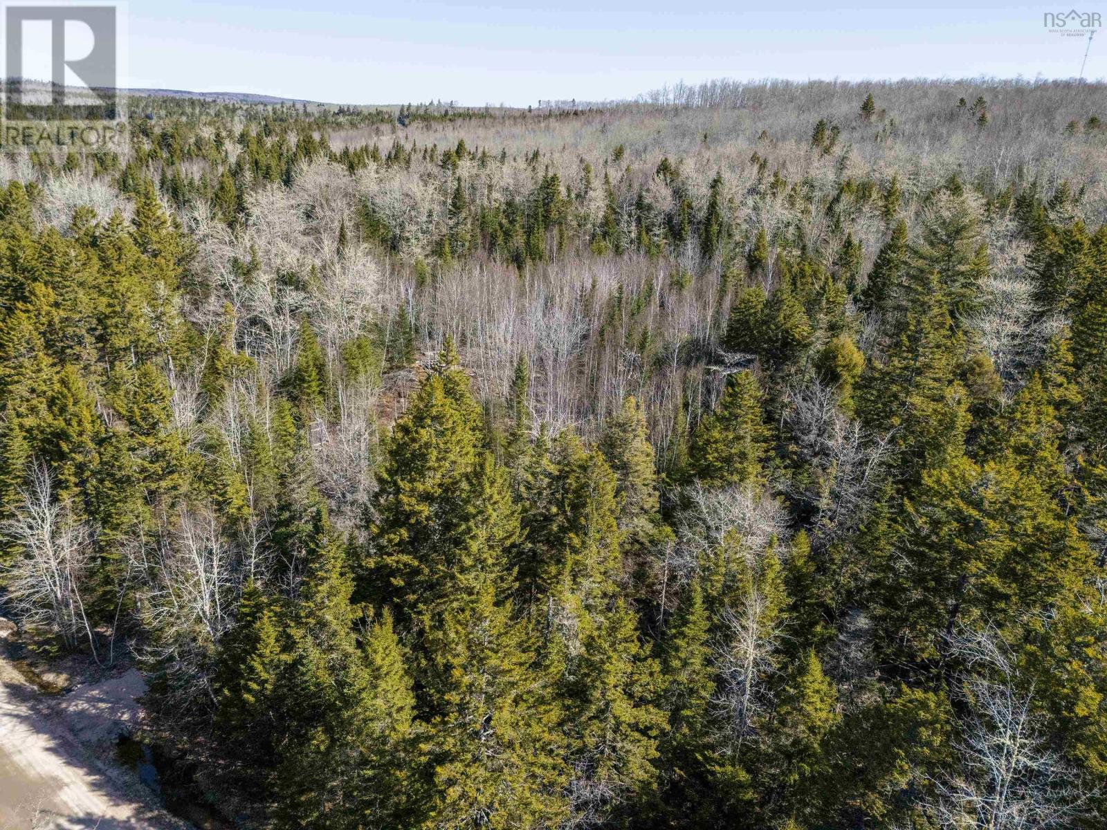 87-1 Falkenham Road, East Dalhousie, Nova Scotia  B0R 1H0 - Photo 31 - 202527085