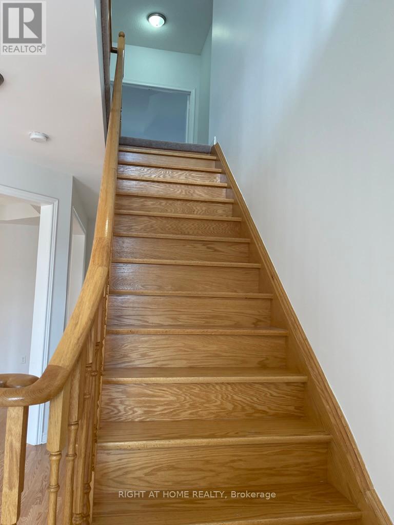 5343 Terry Fox Way, Mississauga, Ontario  L5V 0C5 - Photo 22 - W12501706