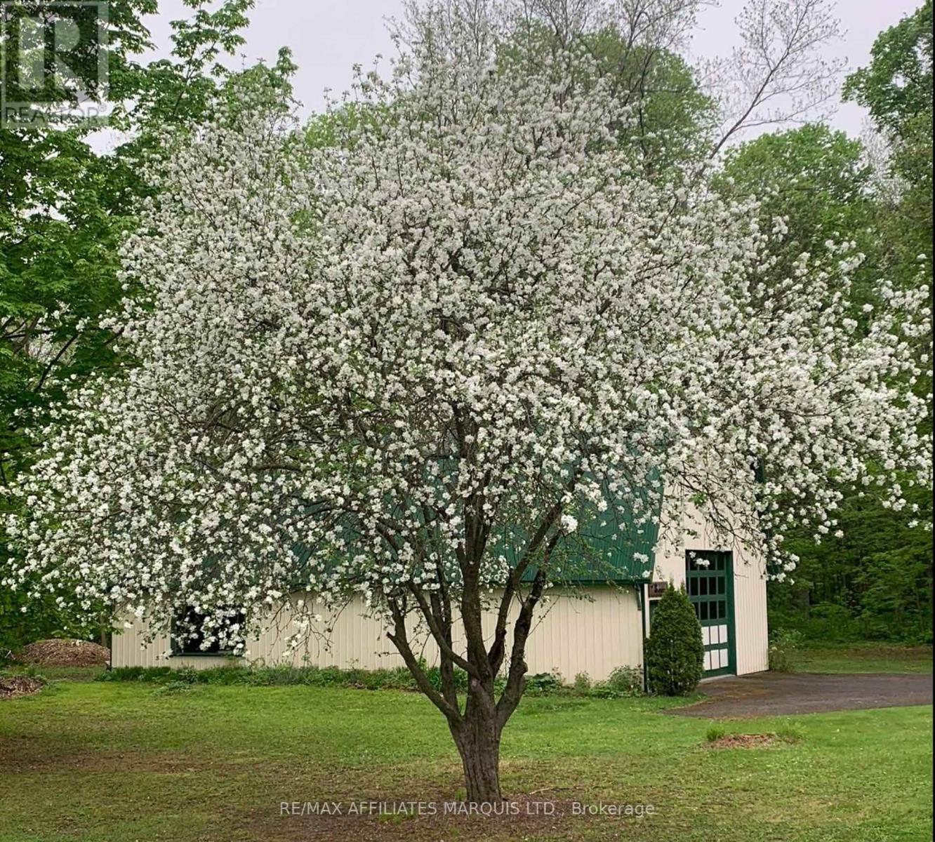 3066 Goldfield Road, North Stormont, Ontario  K0C 1K0 - Photo 44 - X12502112