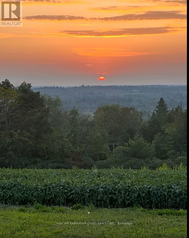 Pl 15 Base Line, Otonabee-South Monaghan, Ontario K0L 2G0 - Photo 8 - X12495428