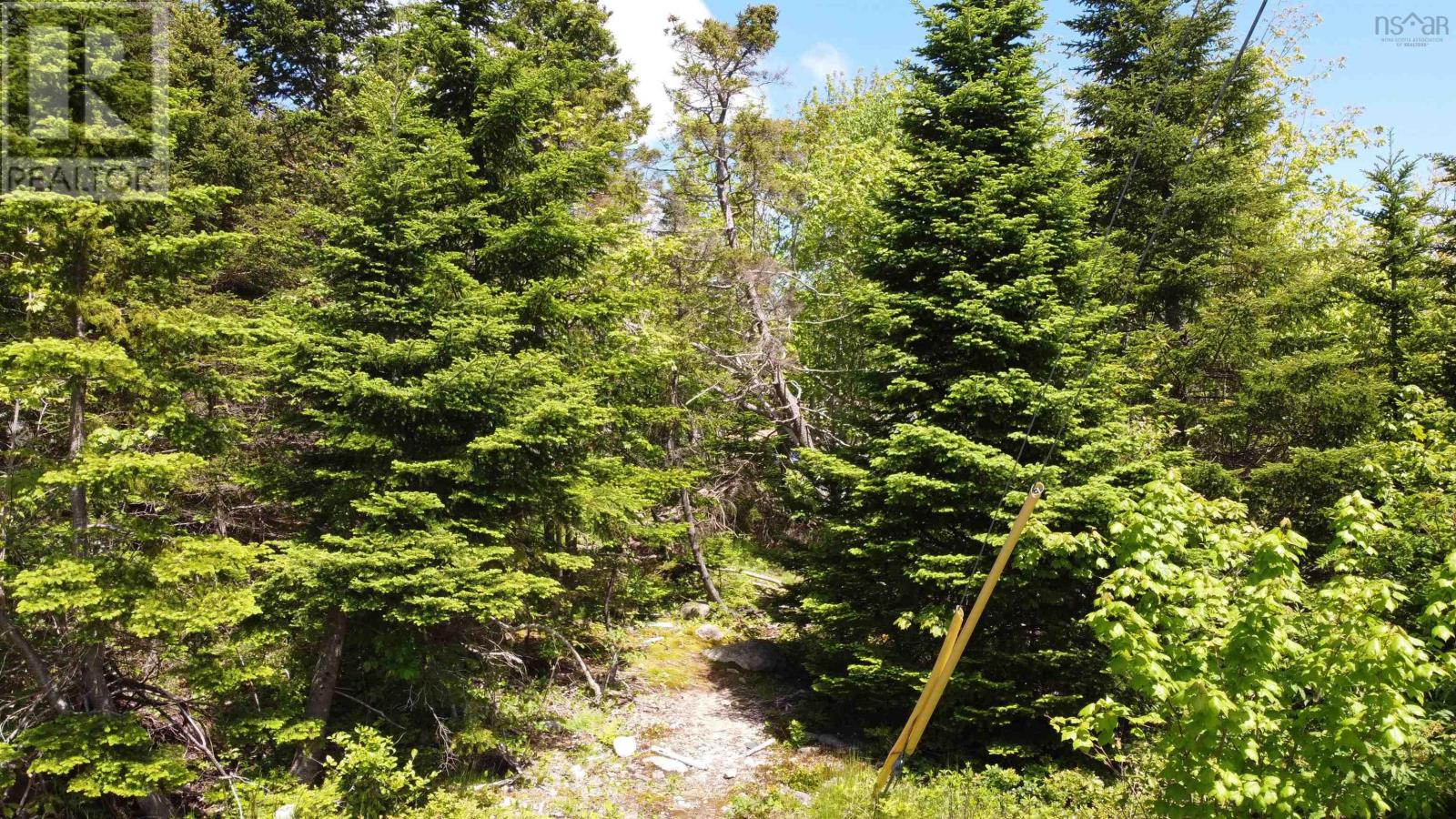 12 Dragonfly Lane, Herring Cove, Nova Scotia  B3V 0C6 - Photo 8 - 202527090