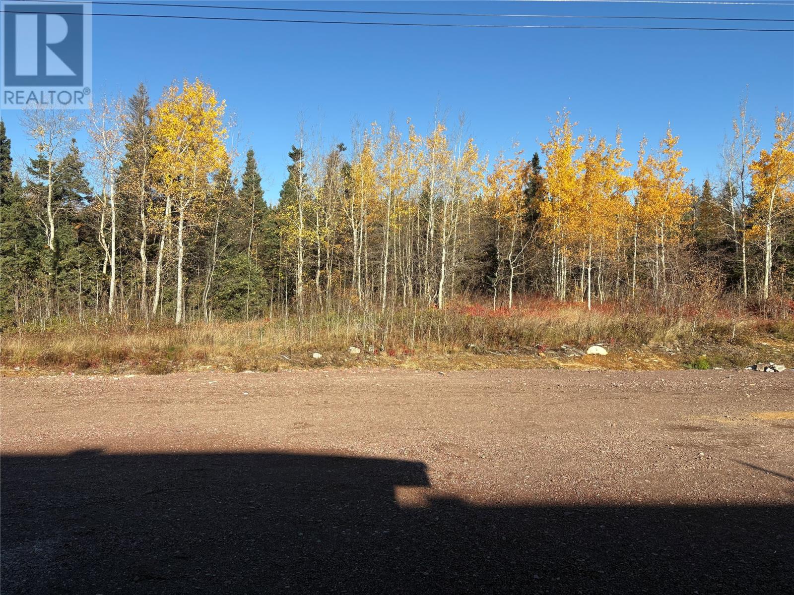 46 Mcdonald Crescent, Bishop's Falls, Newfoundland & Labrador  A0H 1C0 - Photo 10 - 1287197