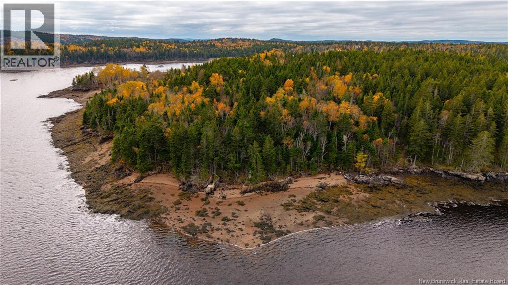 110 Artemus Hatt Road, Letang, New Brunswick  E5C 2B7 - Photo 21 - NB128983