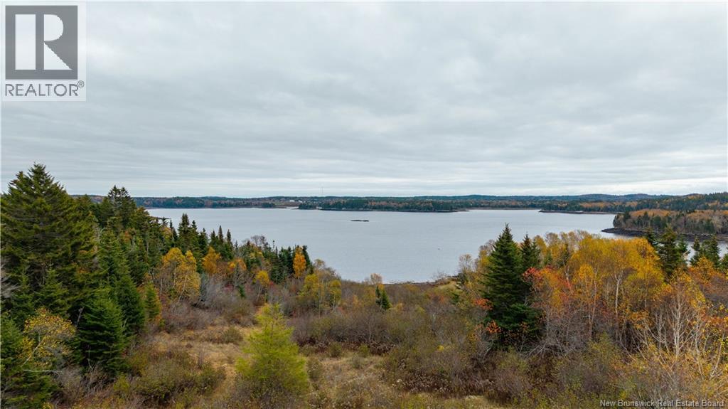 110 Artemus Hatt Road, Letang, New Brunswick  E5C 2B7 - Photo 5 - NB128983