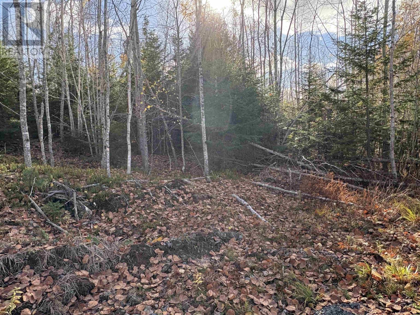 Lot 8 Shady Lane, Loch Broom, Nova Scotia  B0K 1H0 - Photo 16 - 202527084