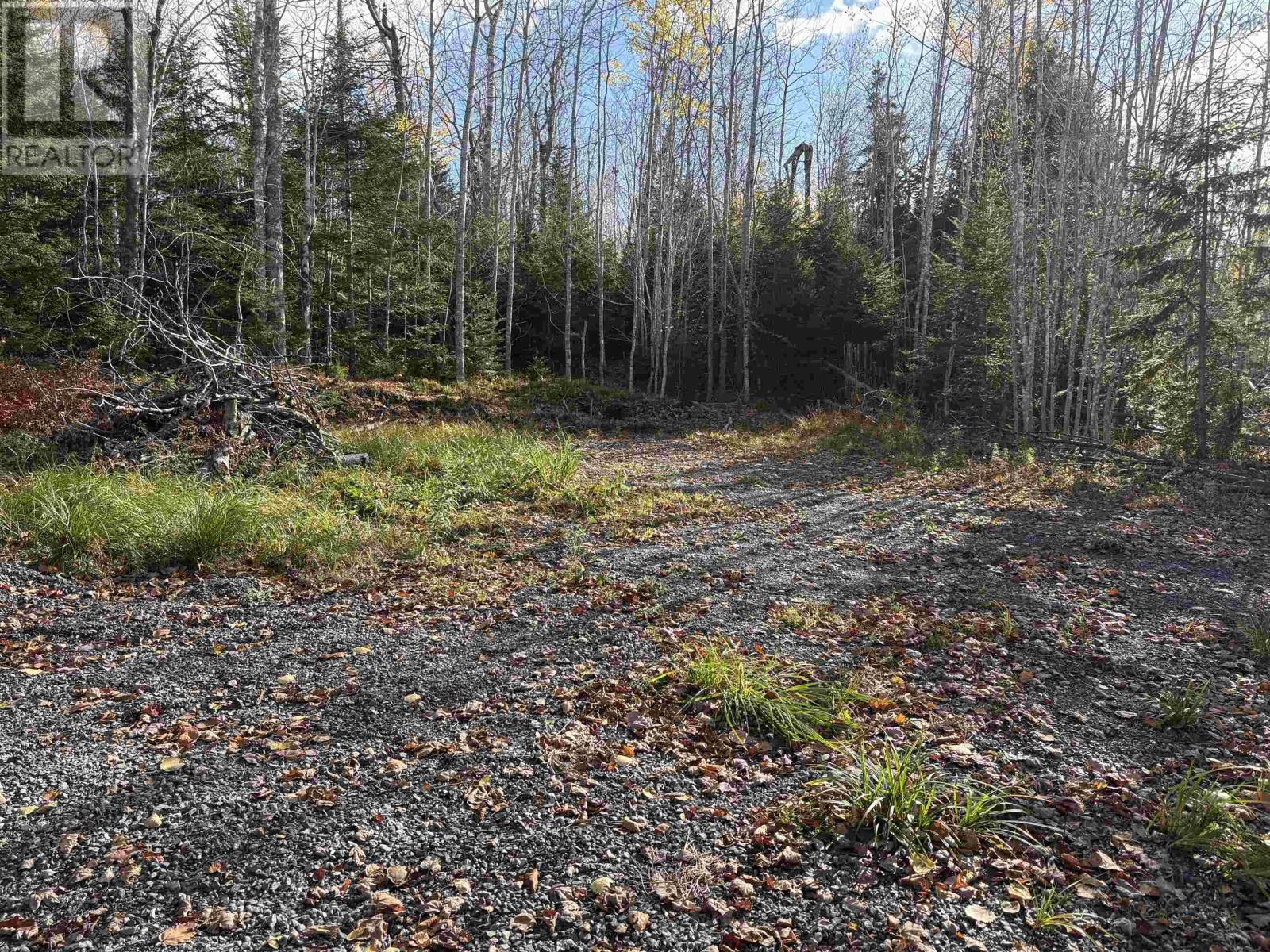 Lot 8 Shady Lane, Loch Broom, Nova Scotia  B0K 1H0 - Photo 4 - 202527084