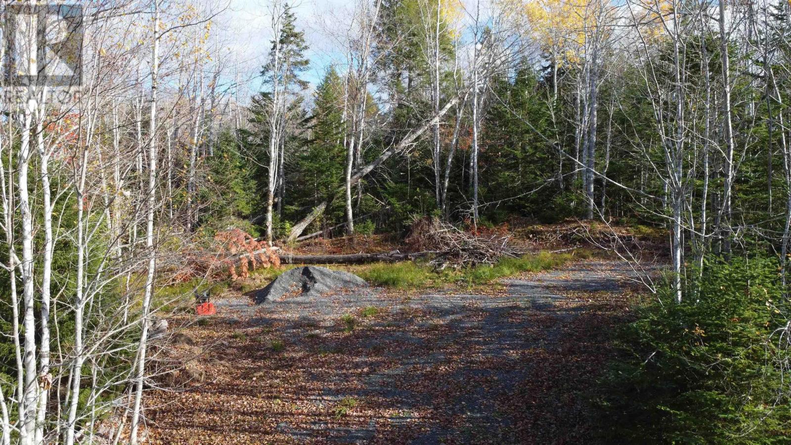 Lot 8 Shady Lane, Loch Broom, Nova Scotia  B0K 1H0 - Photo 6 - 202527084
