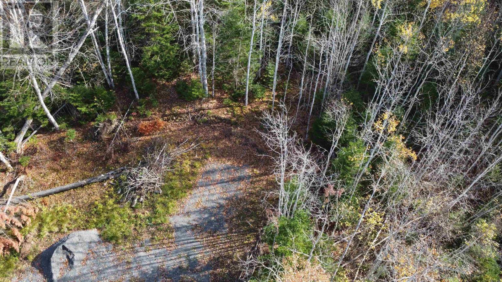 Lot 8 Shady Lane, Loch Broom, Nova Scotia  B0K 1H0 - Photo 8 - 202527084