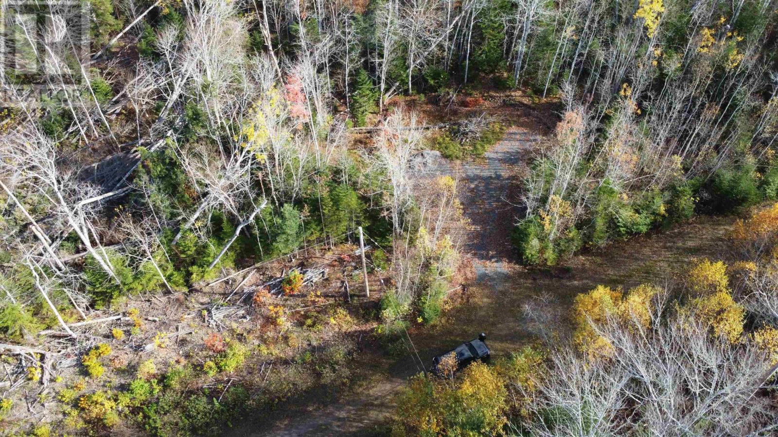 Lot 8 Shady Lane, Loch Broom, Nova Scotia  B0K 1H0 - Photo 11 - 202527084