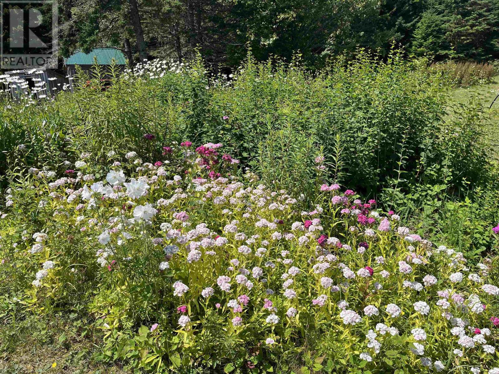 7787 Highway 209, Brookville, Nova Scotia  B0M 1S0 - Photo 39 - 202519280