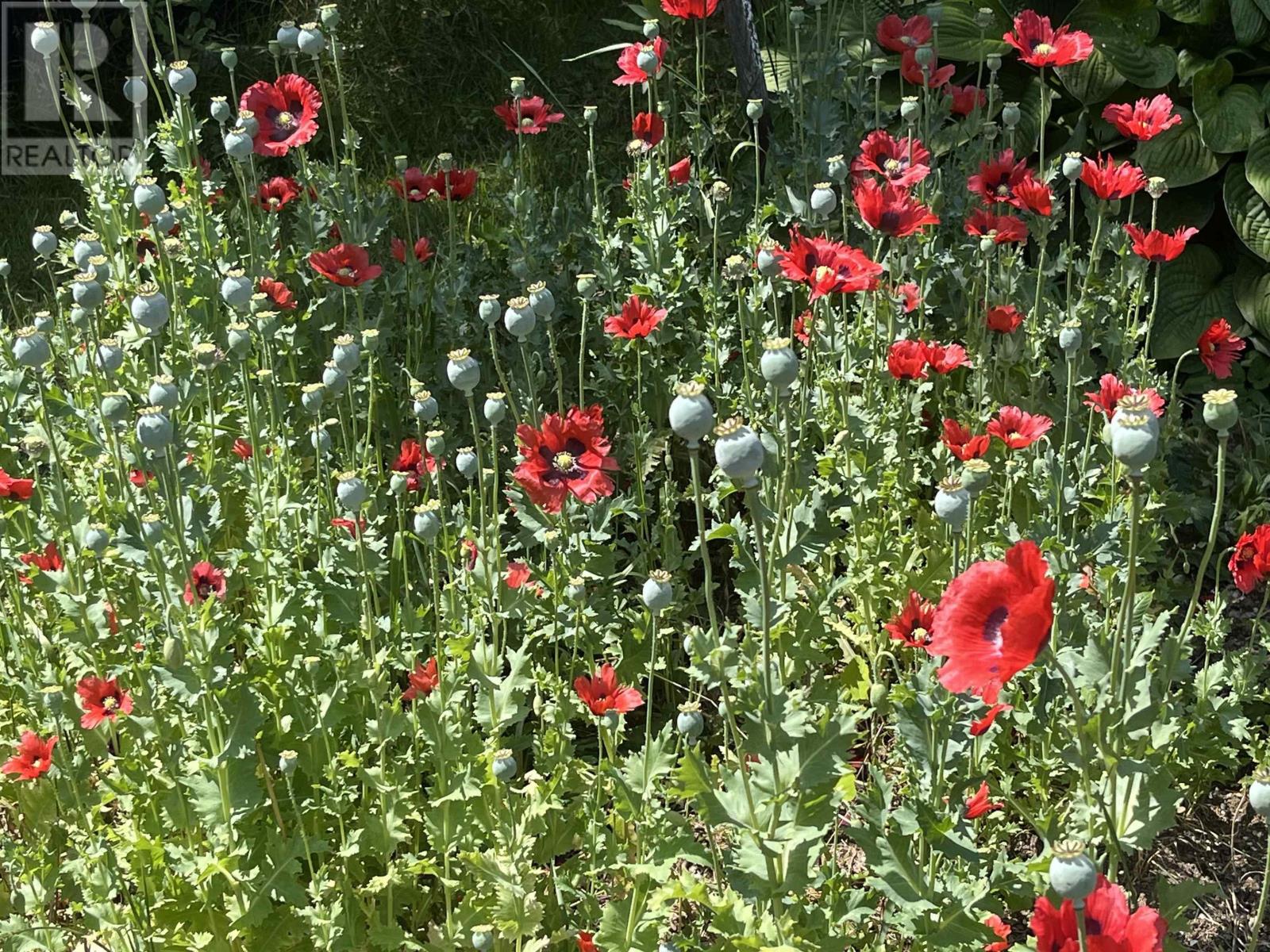 7787 Highway 209, Brookville, Nova Scotia  B0M 1S0 - Photo 40 - 202519280