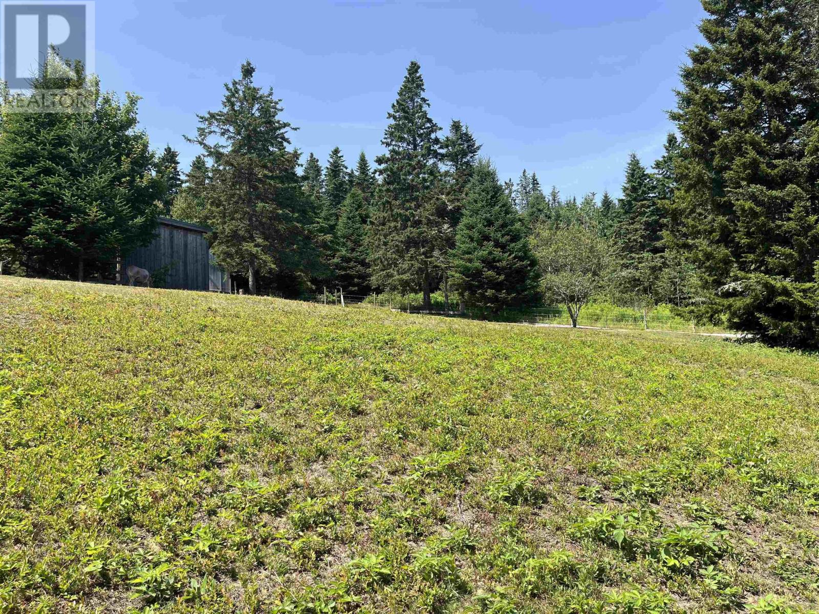 7787 Highway 209, Brookville, Nova Scotia  B0M 1S0 - Photo 47 - 202519280