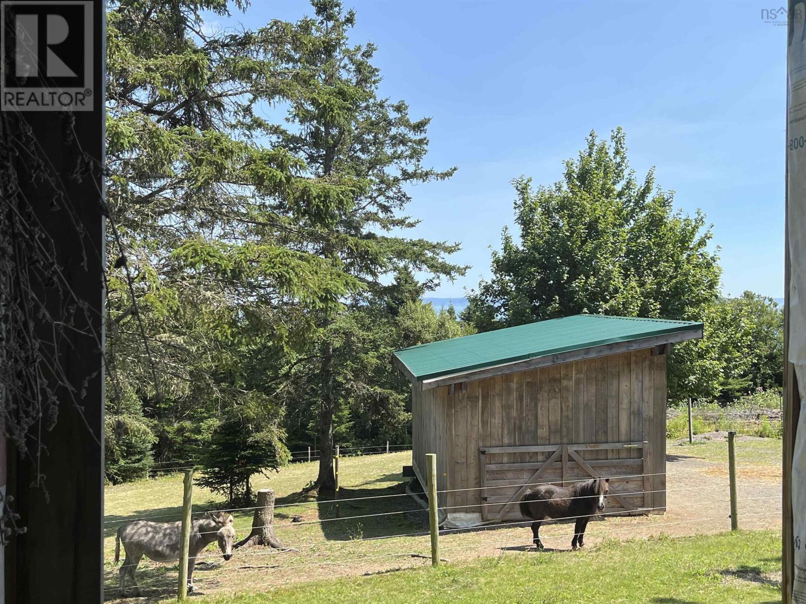 7787 Highway 209, Brookville, Nova Scotia  B0M 1S0 - Photo 31 - 202519280