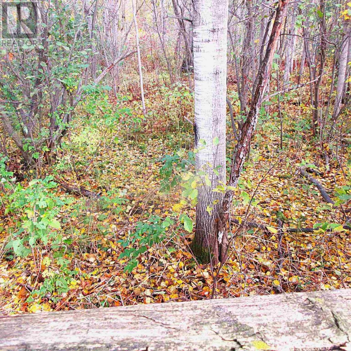 94 Glen Ave, Sault Ste. Marie, Ontario P6A 5E2 - Photo 24 - SM253113