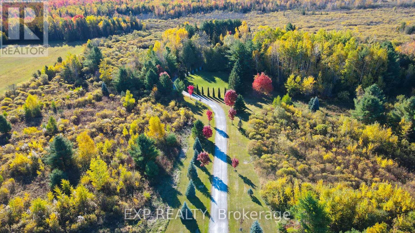 8327 Old Homestead Road, Georgina, Ontario  L0E 1N0 - Photo 3 - N12501948