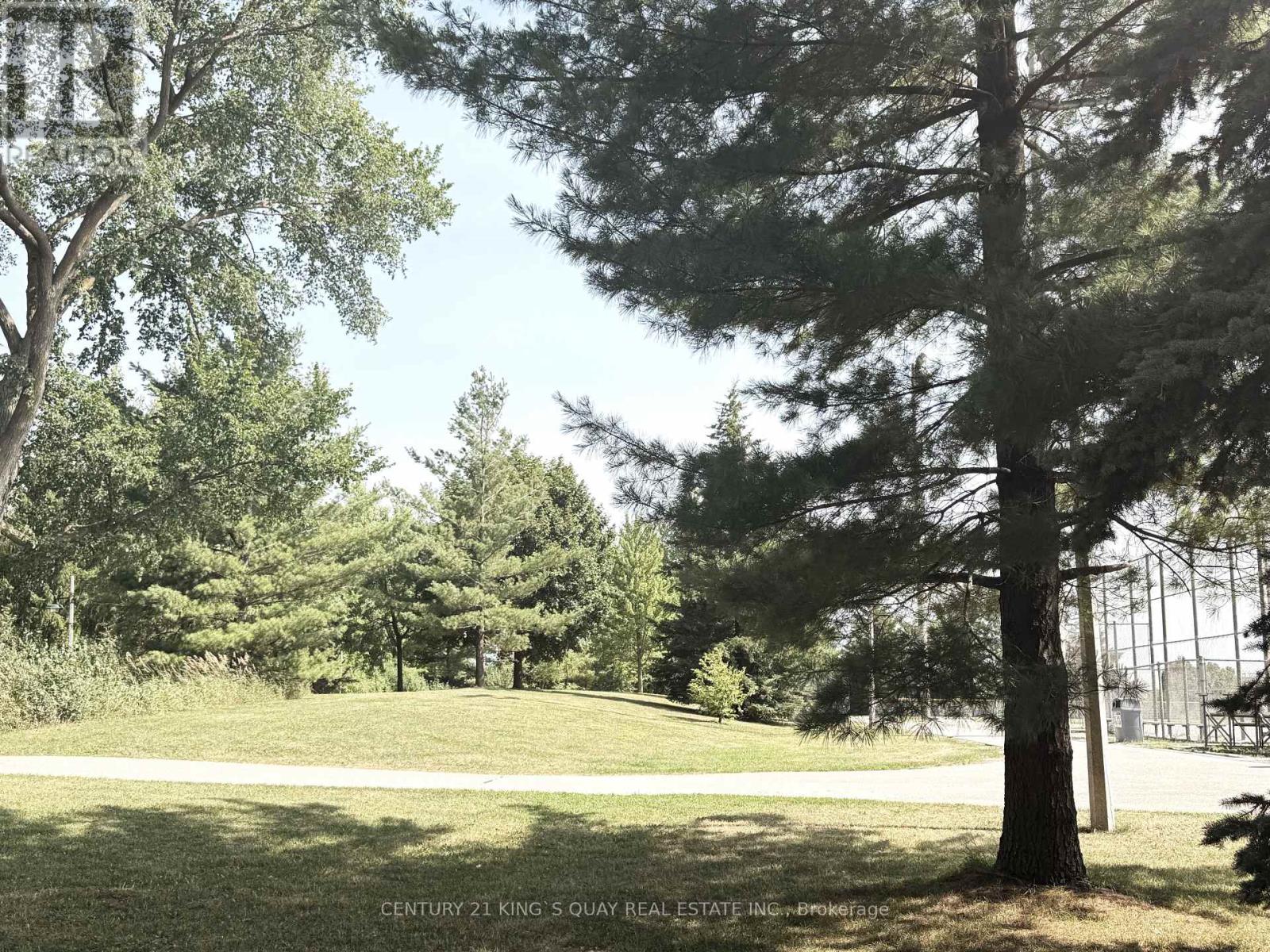 107 Mcalister Avenue, Richmond Hill, Ontario  L4S 0L2 - Photo 43 - N12502028