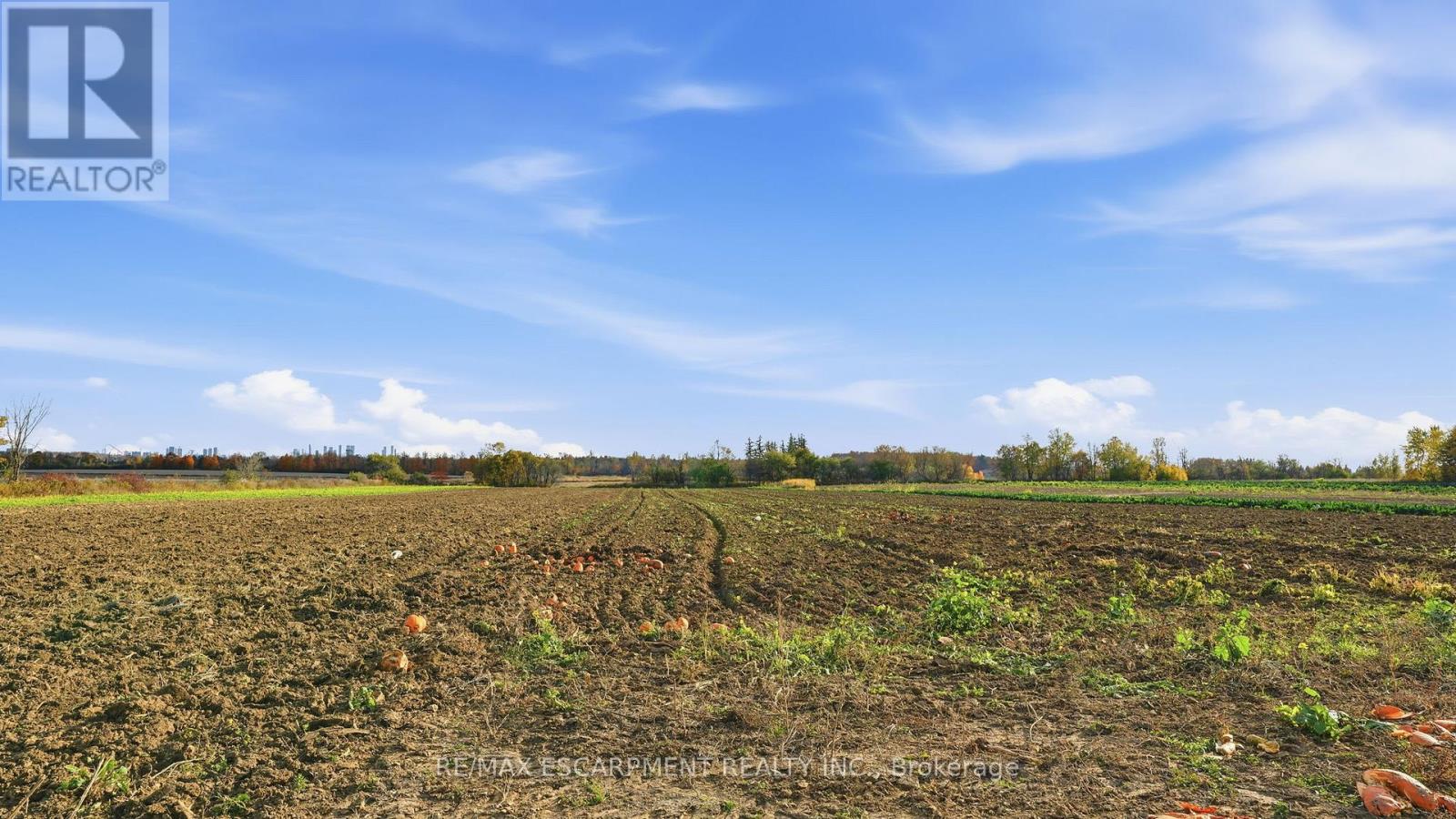 4283 King-Vaughan Road, Vaughan, Ontario  L4H 1E4 - Photo 21 - N12502092