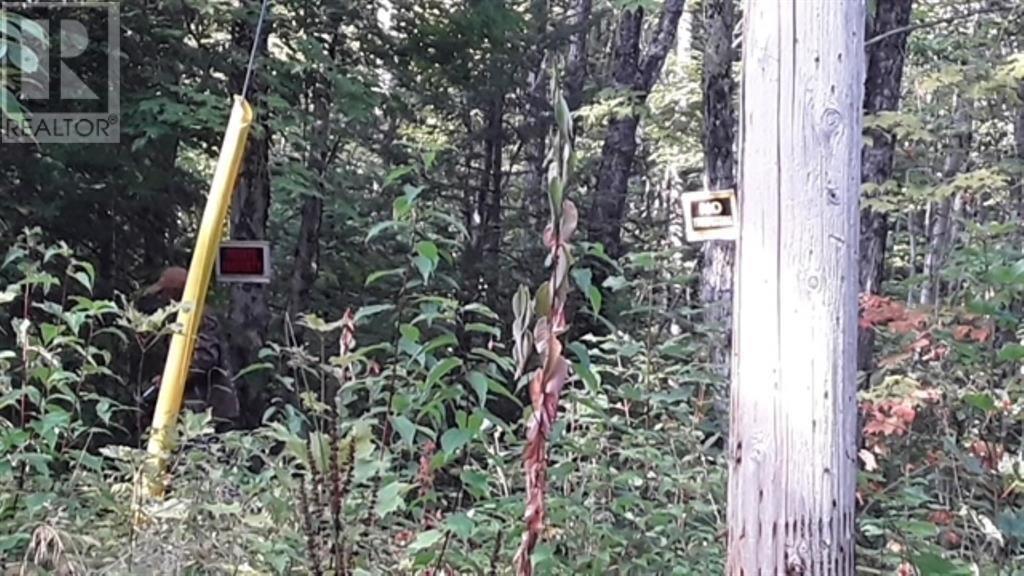 000 Hwy 563, Batchawana Bay, Ontario  P0S 1A0 - Photo 10 - SM253153