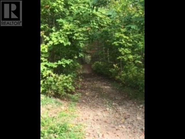 000 Hwy 563, Batchawana Bay, Ontario  P0S 1A0 - Photo 12 - SM253153