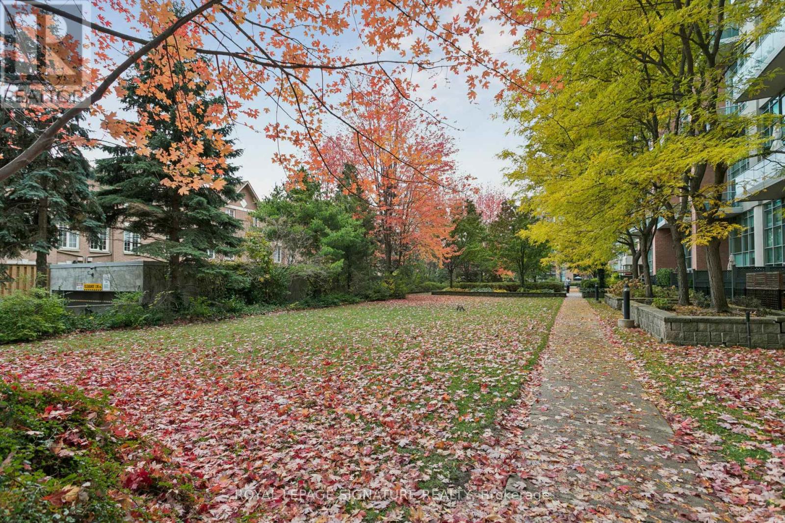 111 - 250 Manitoba Street, Toronto, Ontario  M8Y 4G8 - Photo 41 - W12501914