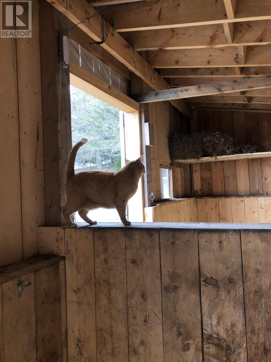 7787 Highway 209, Brookville, Nova Scotia  B0M 1S0 - Photo 14 - 202519341