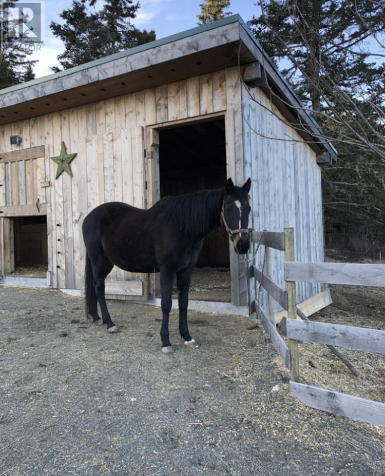 7787 Highway 209, Brookville, Nova Scotia  B0M 1S0 - Photo 15 - 202519341