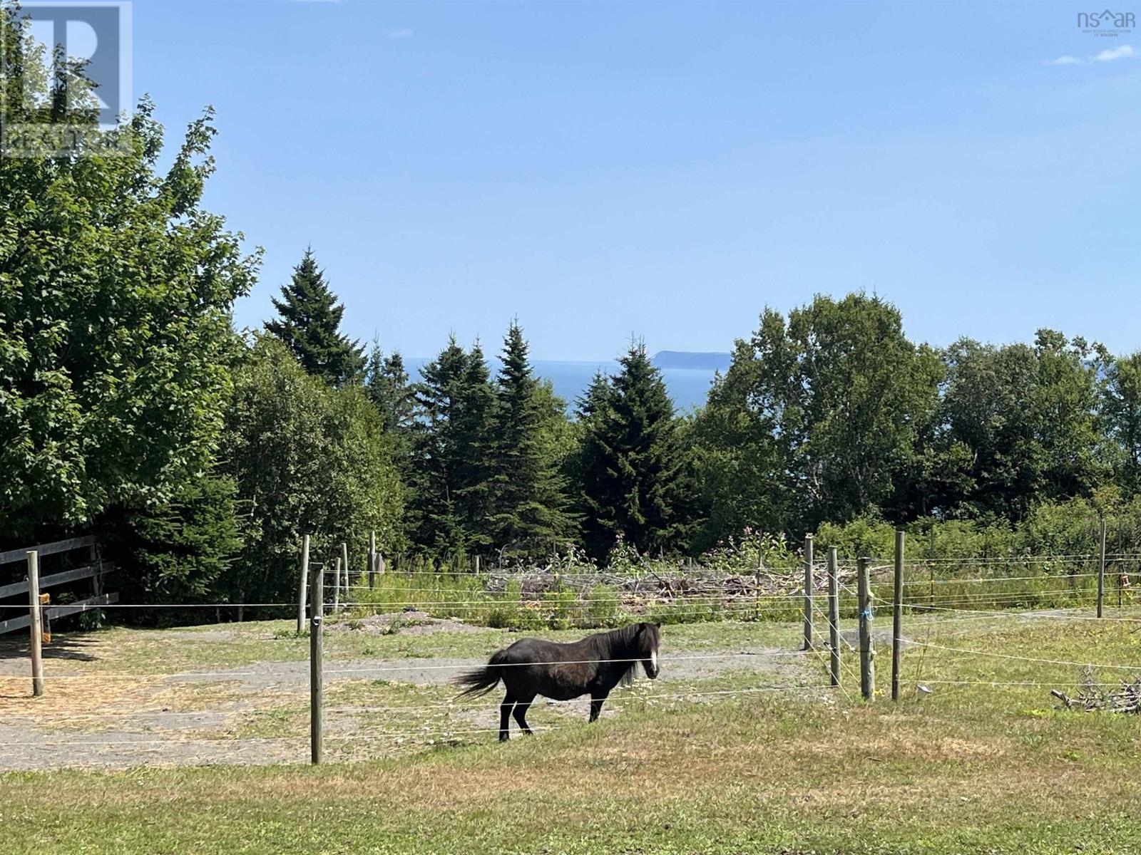 7787 Highway 209, Brookville, Nova Scotia  B0M 1S0 - Photo 3 - 202519341