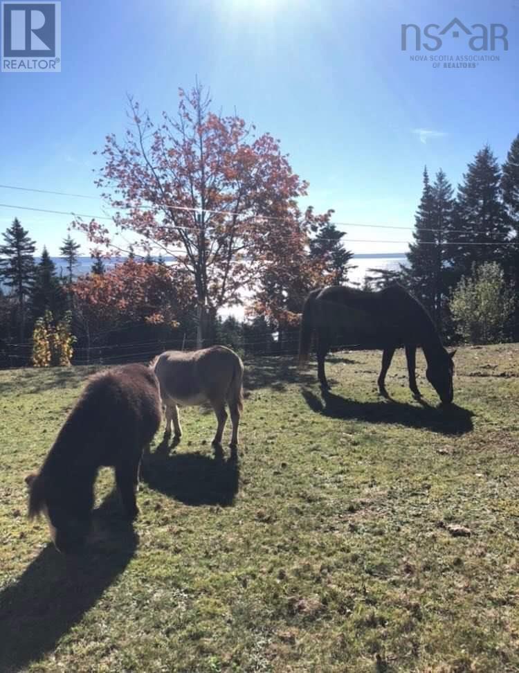 7787 Highway 209, Brookville, Nova Scotia  B0M 1S0 - Photo 4 - 202519341