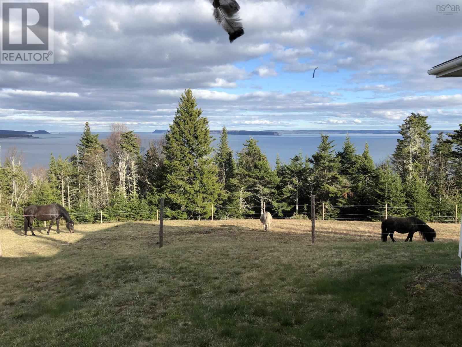 7787 Highway 209, Brookville, Nova Scotia  B0M 1S0 - Photo 42 - 202519341