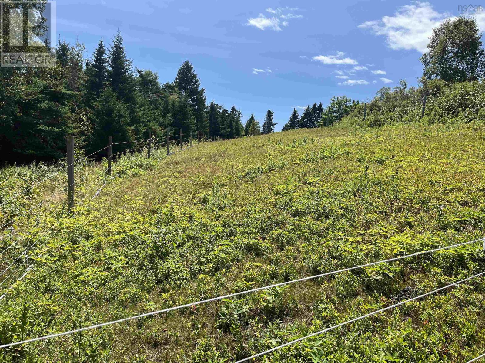 7787 Highway 209, Brookville, Nova Scotia  B0M 1S0 - Photo 45 - 202519341